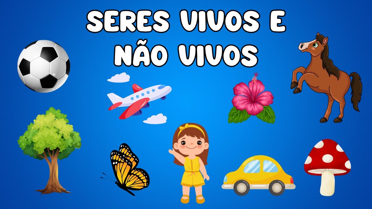 O QUE S&Atilde;O SERES VIVOS E N&Atilde;O VIVOS - DIFEREN&Ccedil;A