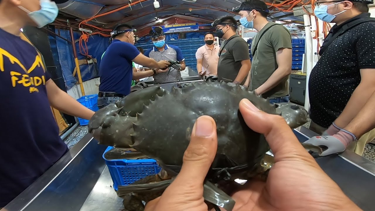 Tungkol sa RAS Seminar - Mud Crab Alimango Fattening System