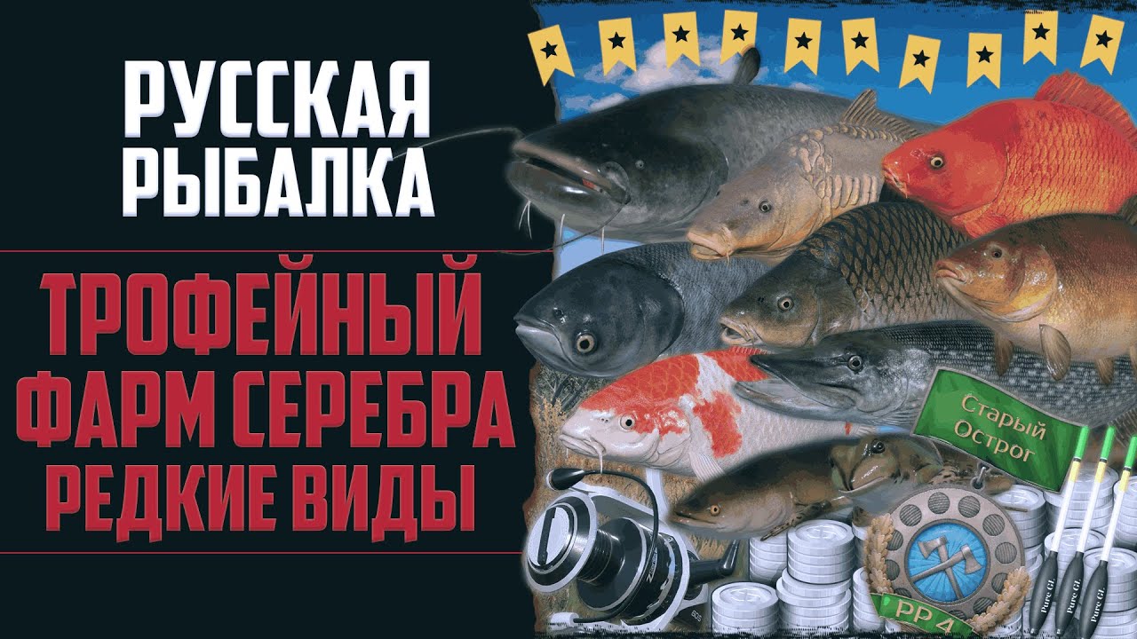 Новый Путь в РР4 #15 🔴 Трофейный Клёв | Закрыл Старый Острог | Редкие Виды и Новые Снасти на Медное
