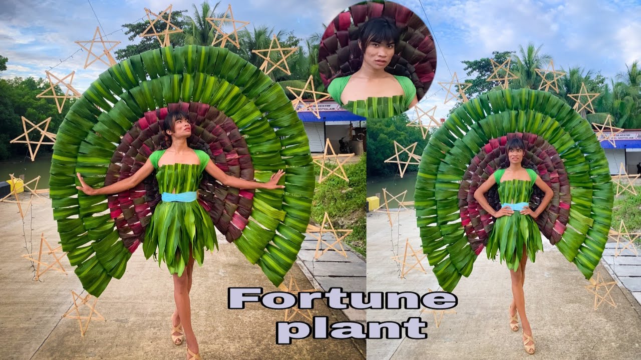 Dahon queen| Pinoy Christmas inspired costume made of Fortune plant.