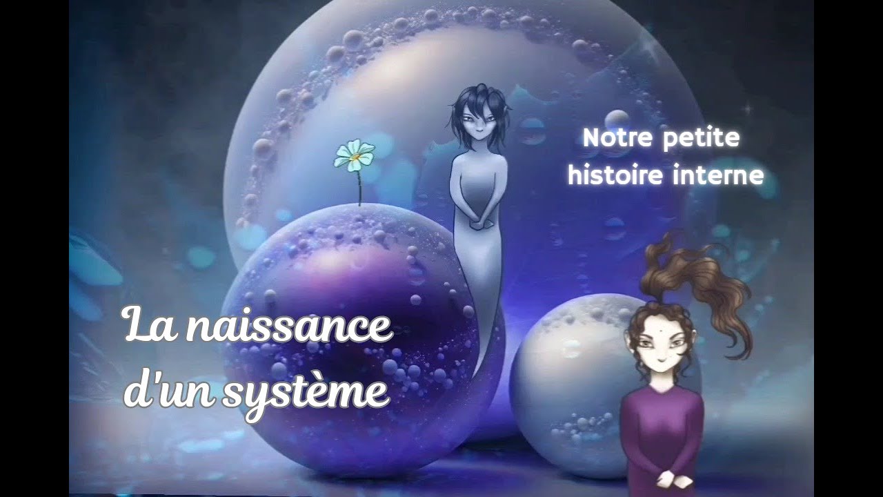 TDI - Naissance d'un système autiste - Notre histoire