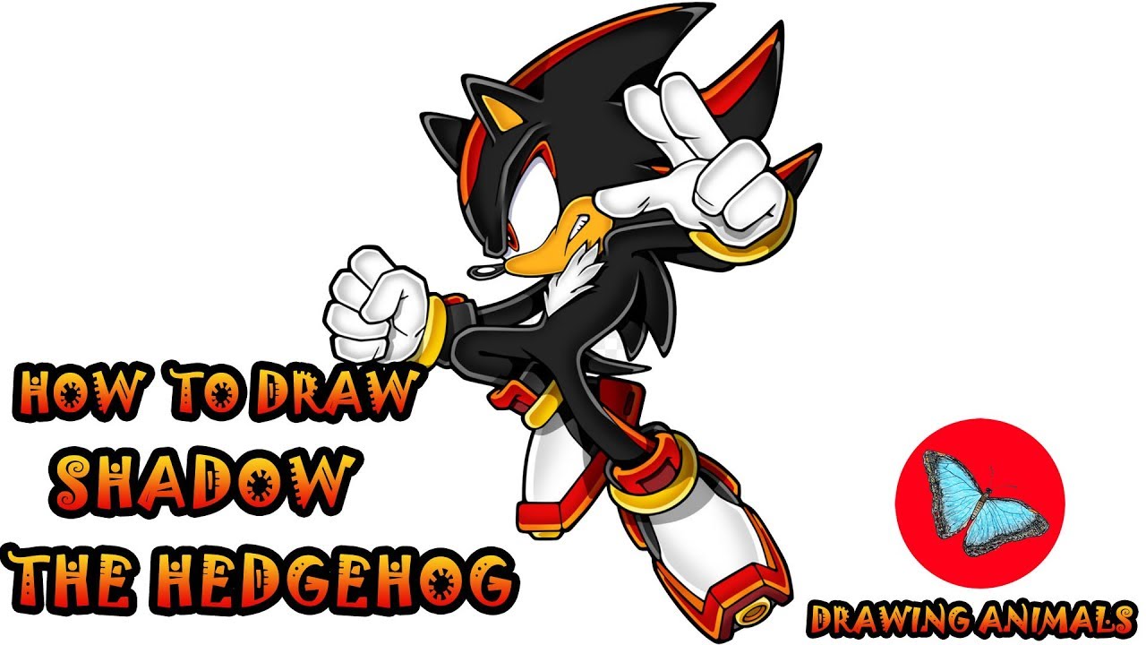 How To Draw Shadow The Hedgehog | Drawing Animals