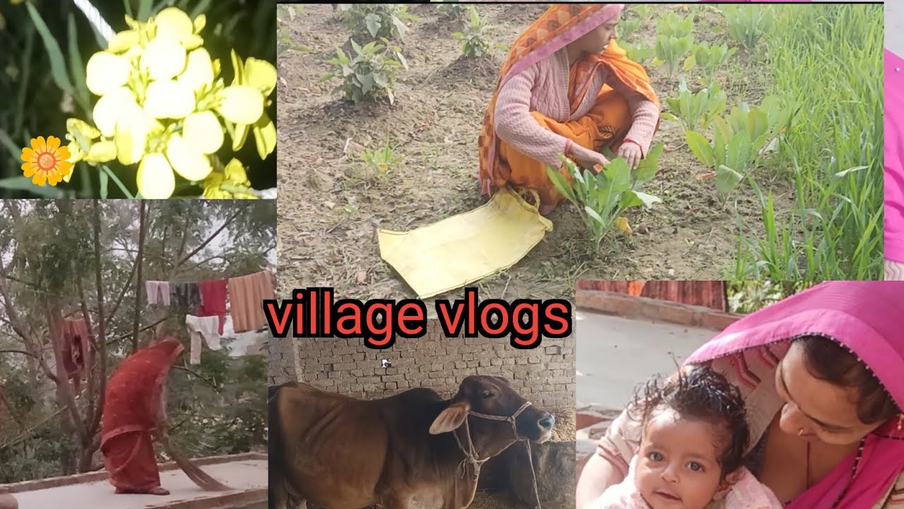 Village vlog video 🔥गाँव का वीडियो #vlog #villagevlog 