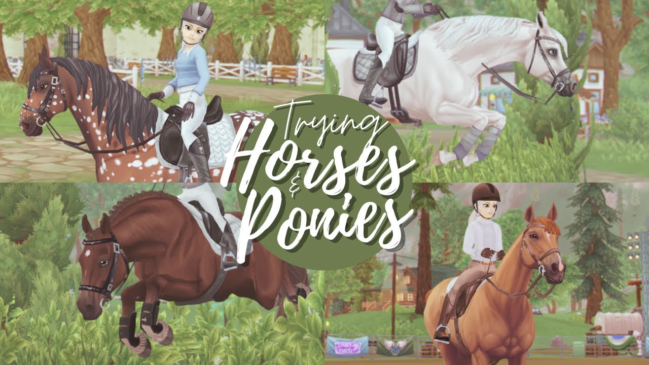 Trying Out Horses and Ponies! II SSO RRP