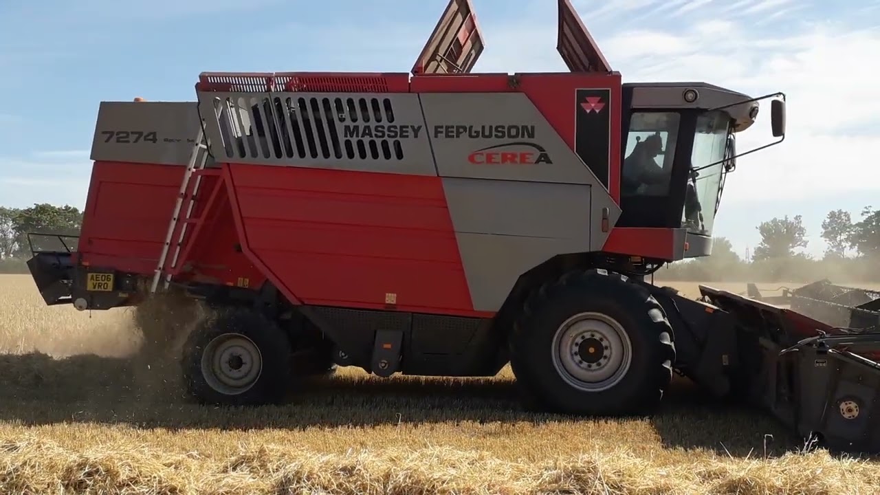 Winter Barley Harvest 2025 featuring a Massey Ferguson Cerea 7274