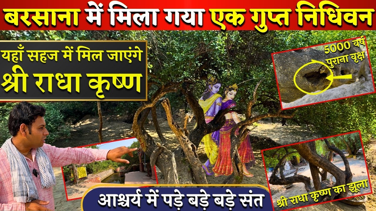 बरसाना का गुप्त निधिवन जहां ढूंढने से मिल जाएंगे श्री राधा कृष्ण. @BrajVihar #santdarshan #santvani