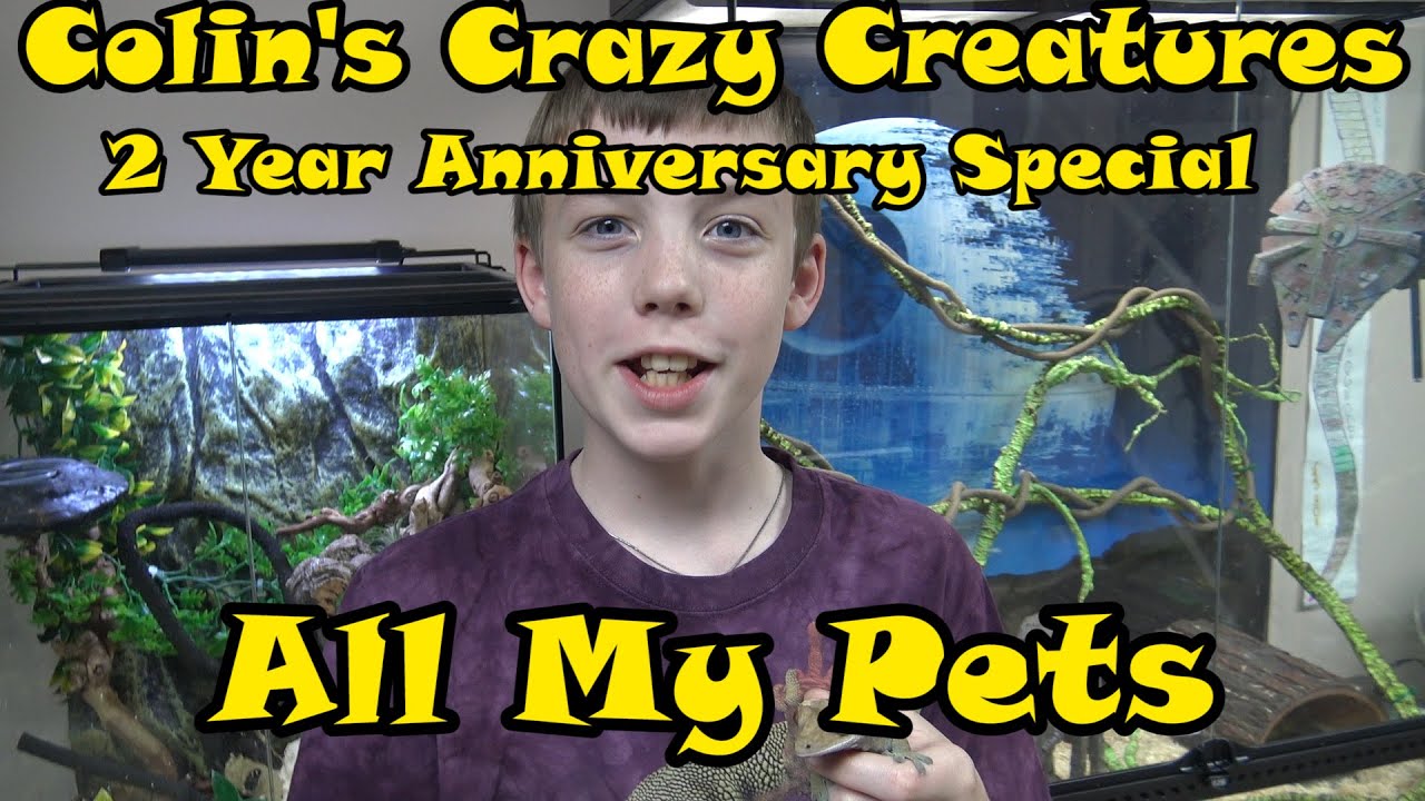 Colin's Crazy Creature 2 Year Anniversary Special All My Pets