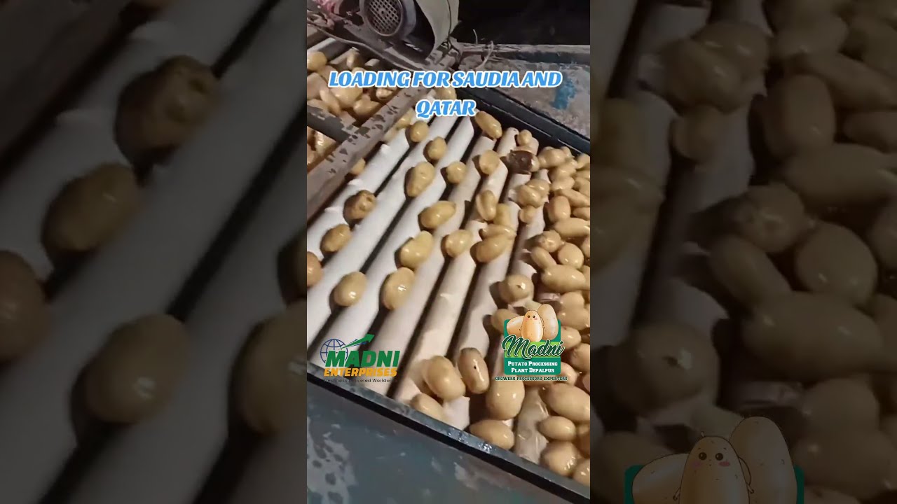 Agricultural Export Opportunities from Pakistan 