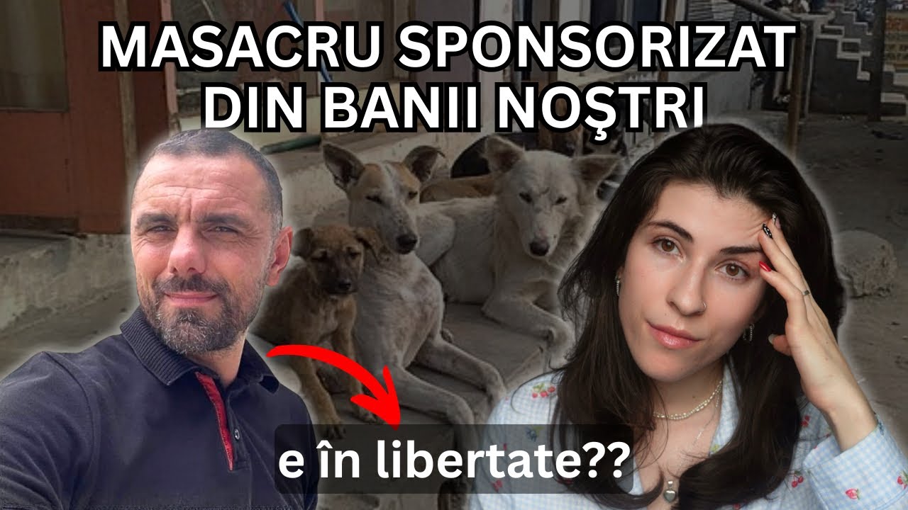 Ce s-a întâmplat la Suraia? | Crimele din adăpostul de câini 