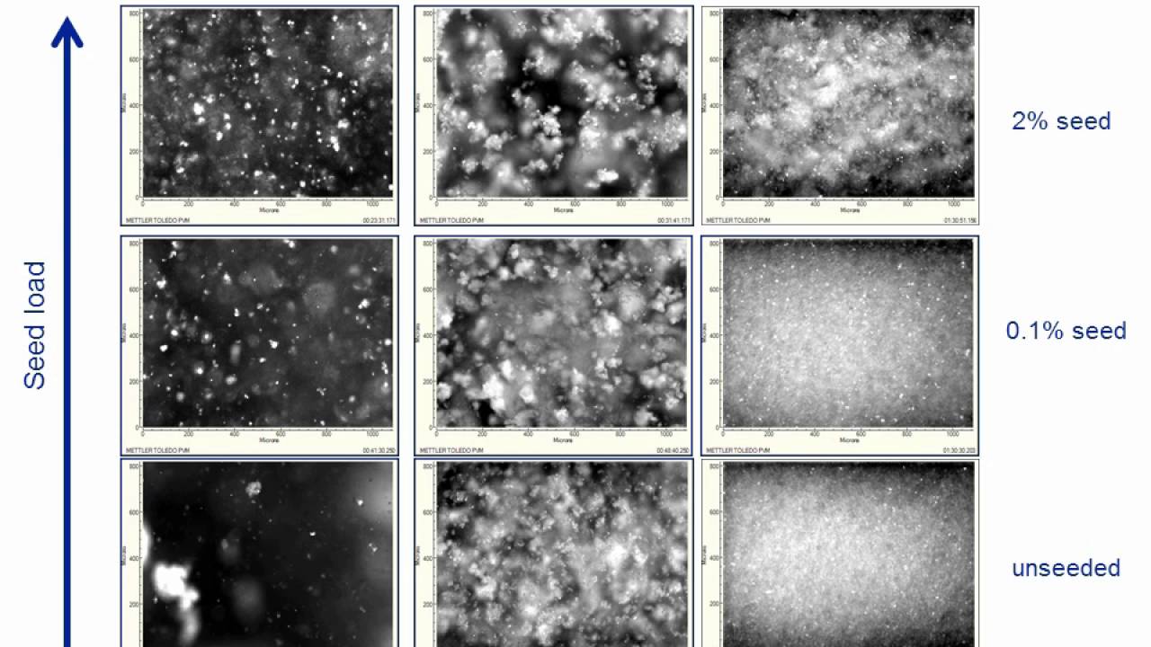Seeding Mechanisms During Crystallization - Visualize