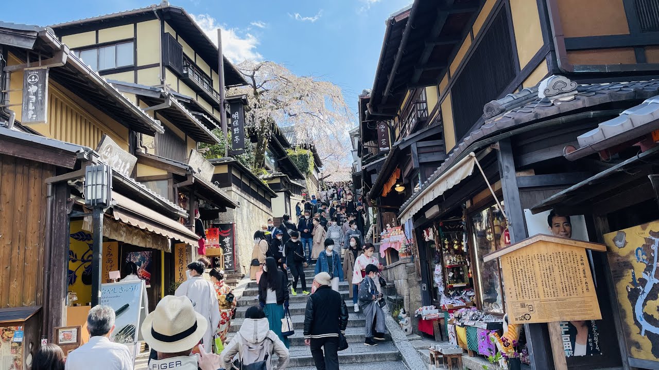 【4K】Kyoto Walk🇯🇵/Kiyomizu//Vol.109/🖖/清水/知恩院/桜/京都/散歩