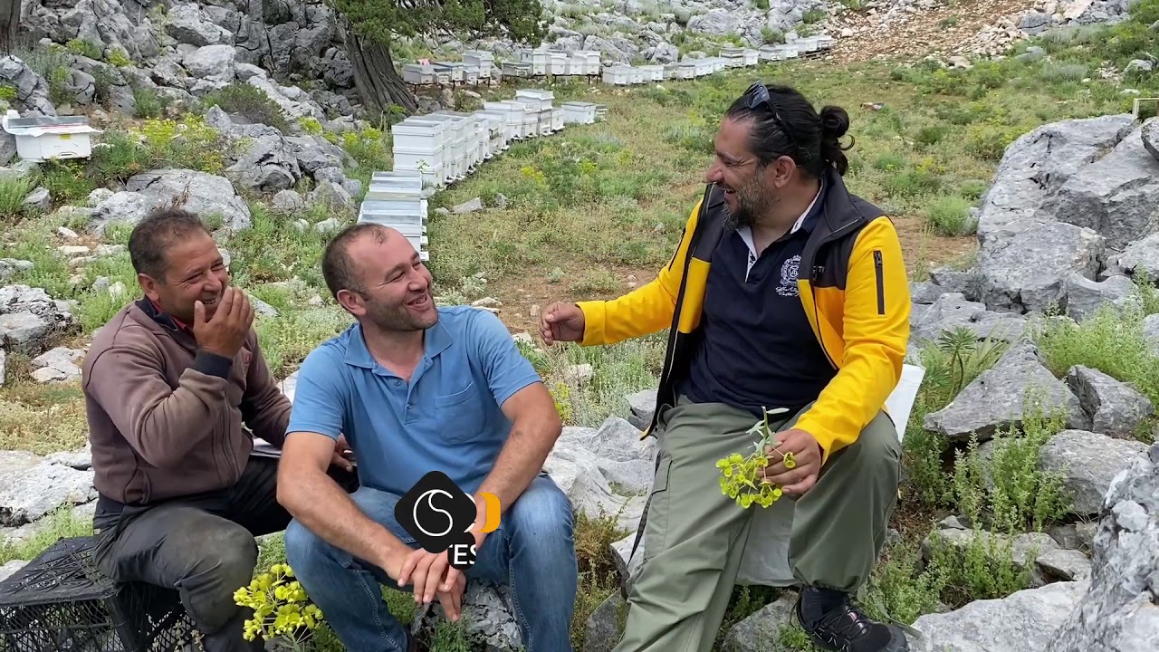 Isparta Sütçüler'de Arıcılık Üzerine Hoş Sohbet