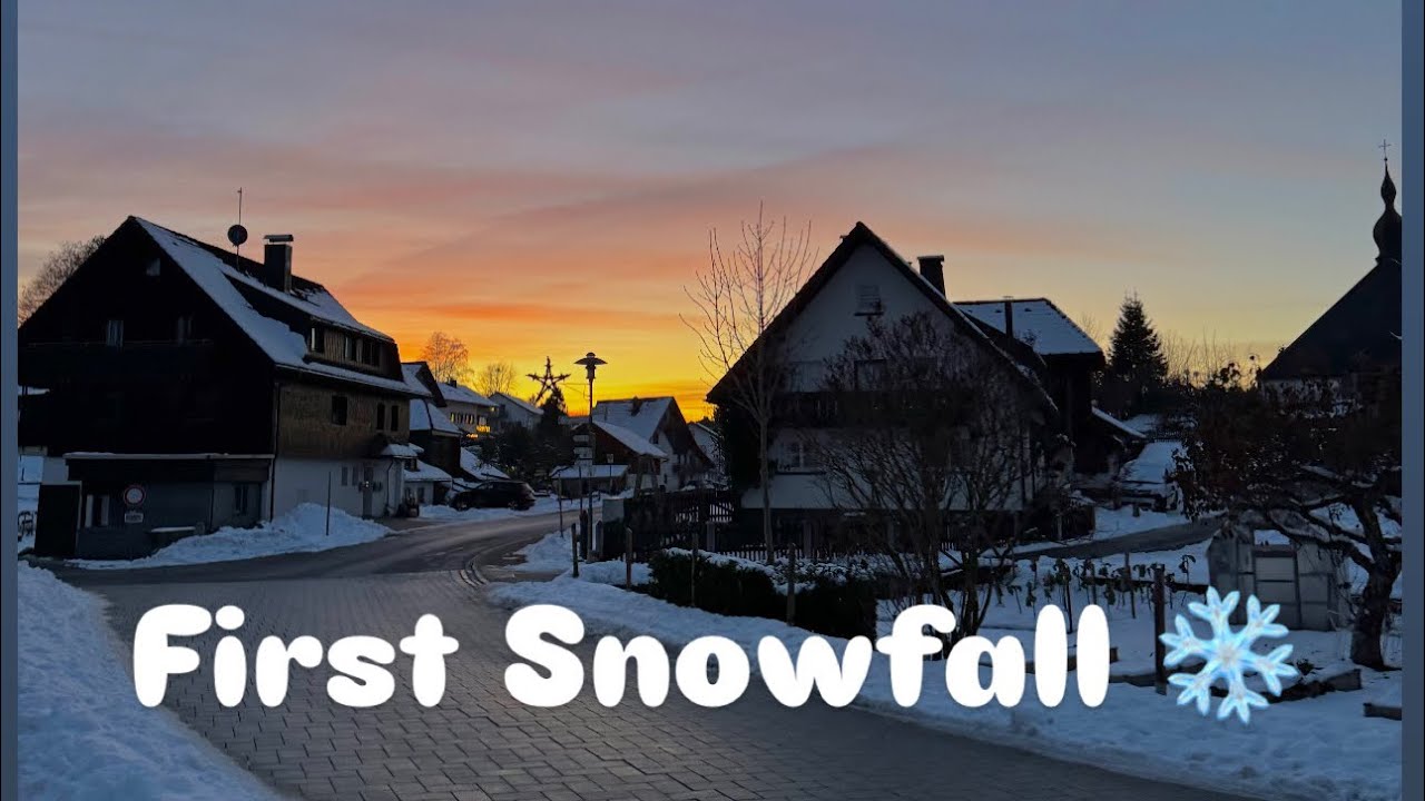 Life in Snow I Germany's Supermarket Trip & Grocery Prices
