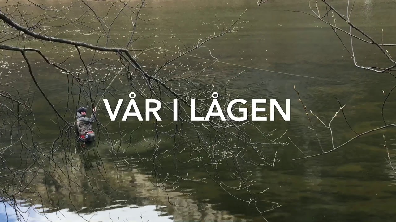 Spring fishing in Lågen