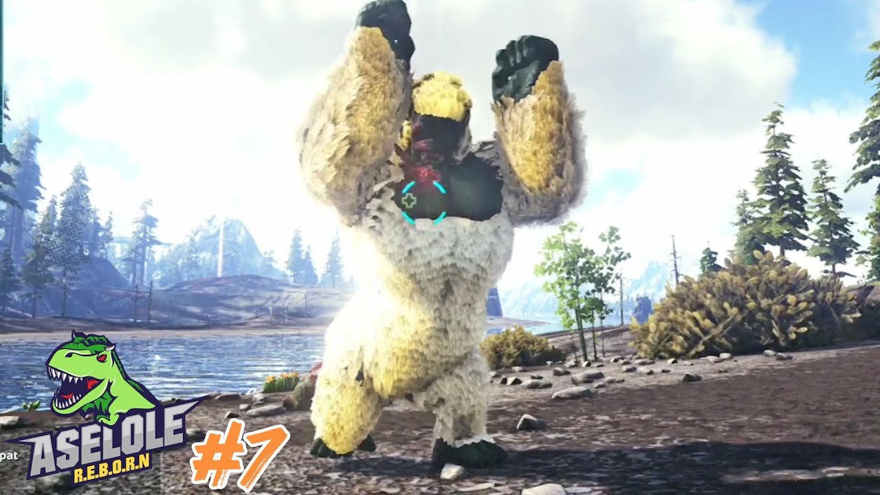 OM OM GORiLLA NGAMUK | ARK ASELOLE