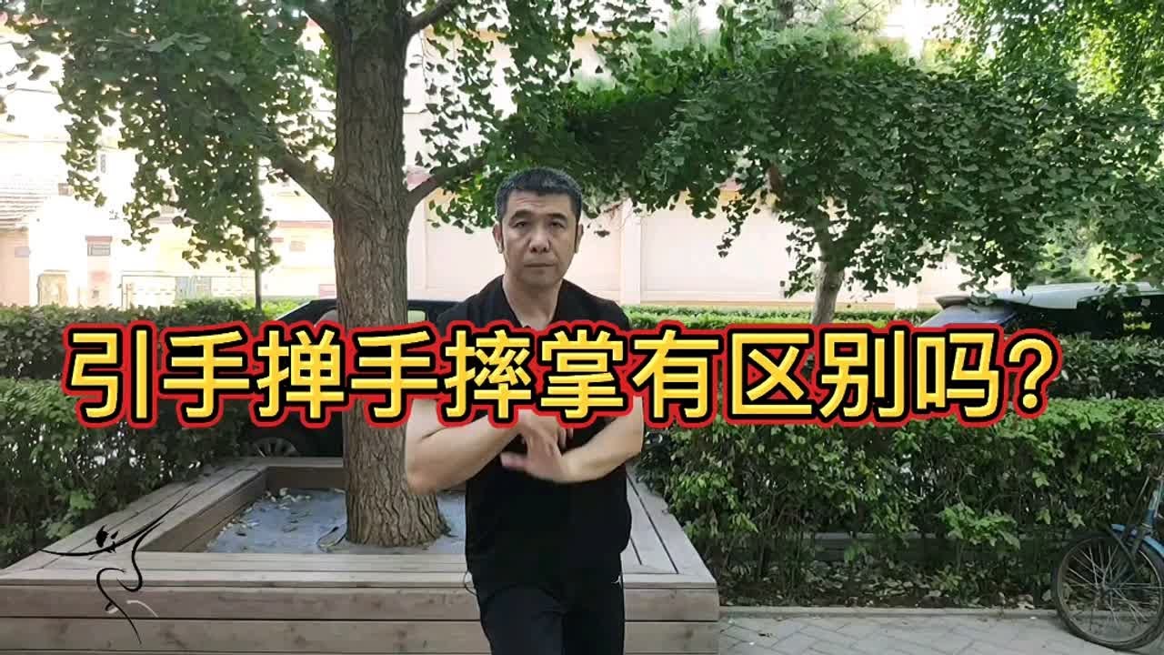引手掸手摔掌有什么区别吗？