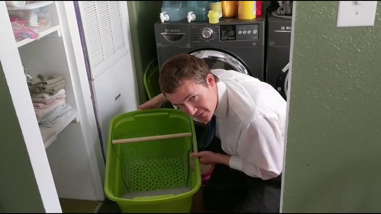 Why My DIY Litter Cube Litter Box is the Best.