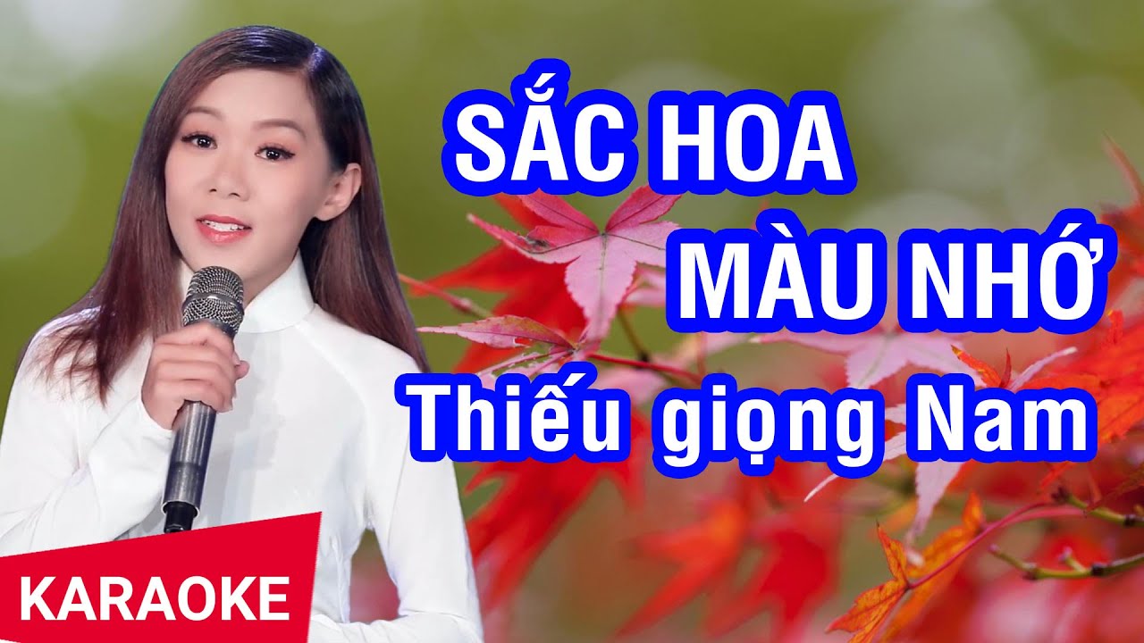 Karaoke Sắc Hoa Màu Nhớ Thiếu Giọng Nam | Song ca cùng Phương Ngọc