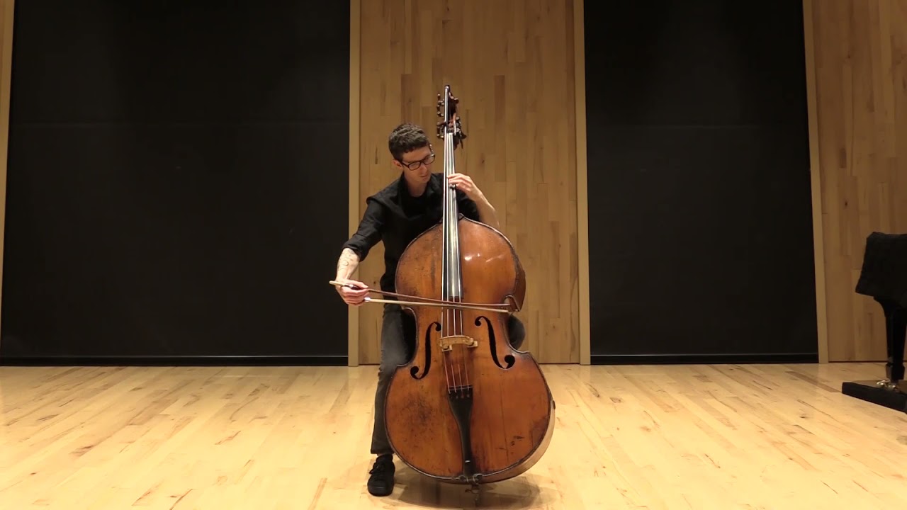 Strauss Ein Heldenleben, Rehearsal 9 | bass excerpt
