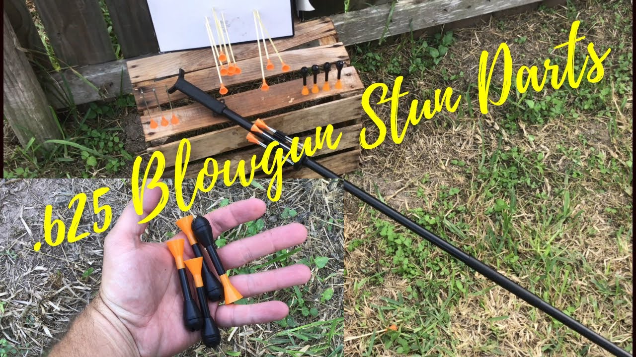Мой новый тест духового ружья/электрошокера .625 Cold Steel