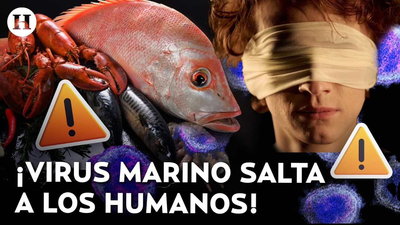 El extra&ntilde;o VIRUS MARINO que te podr&iacute;a dejar CIEGO al comer mariscos y enciende las alertas en China