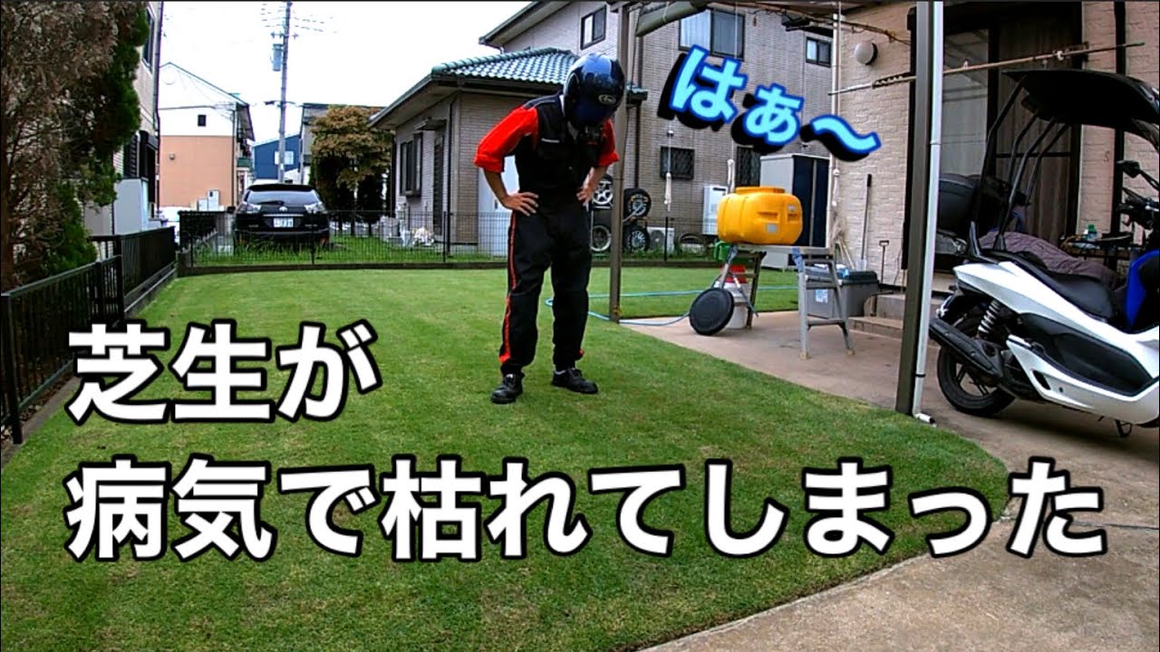 トップグラス殺菌剤使用【芝生の病気対策】