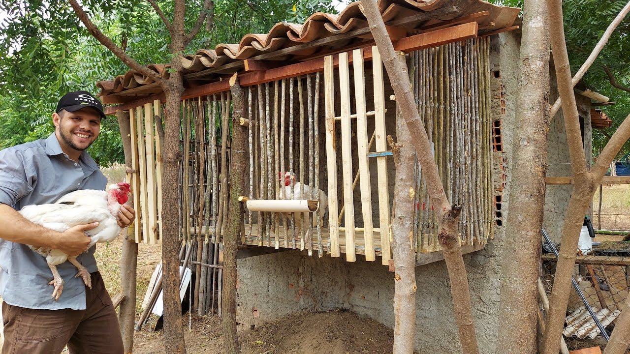 Fiz baias rústicas para aves doentes e aves recém chegadas à granja