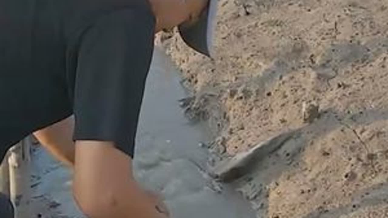 泰叔去淤泥地抽竹筒，看看里面有没有好货，一下子来了两只重壳蟹 #赶海赶海赶海啦 #螃蟹 #螺 #海鲜 #青蟹