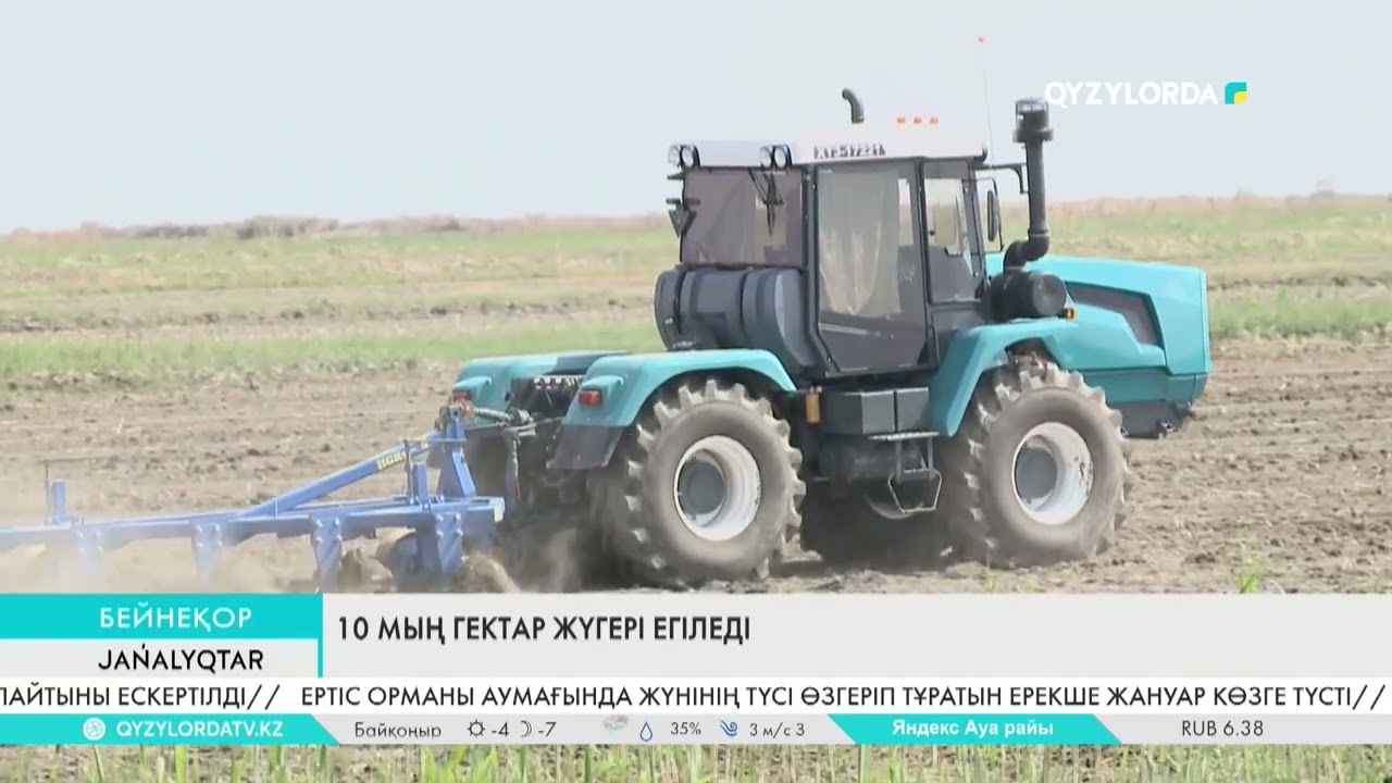10 мың гектар жүгері егіледі
