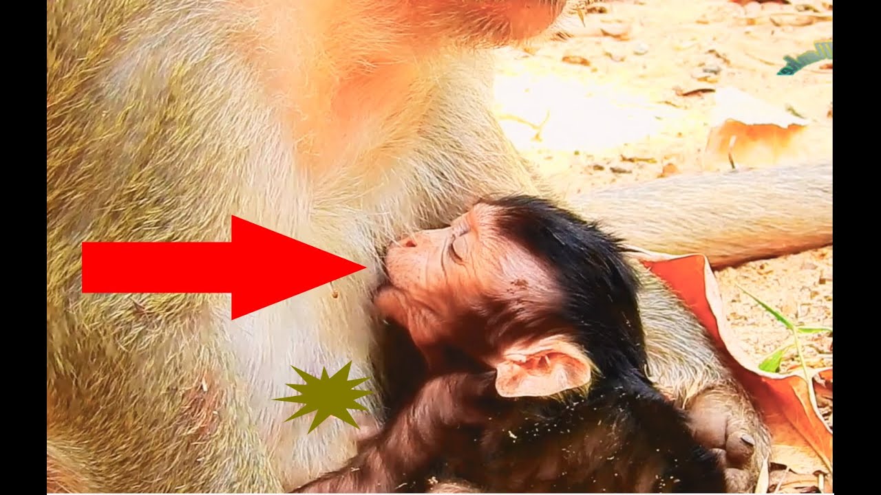 Look so Joke ! Mum TARA fail a sleep with her baby the same time