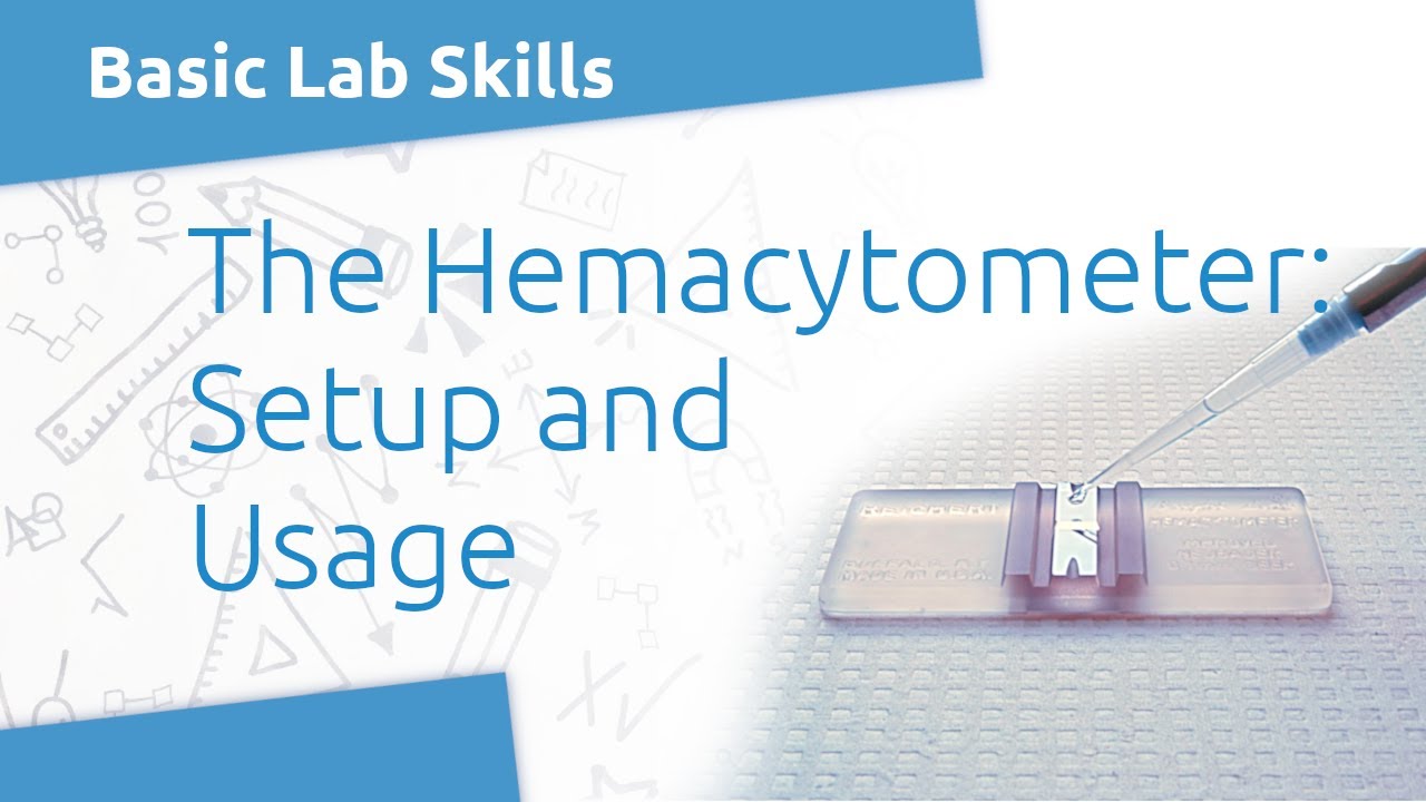 Lab Skills: Hemacytometer Setup