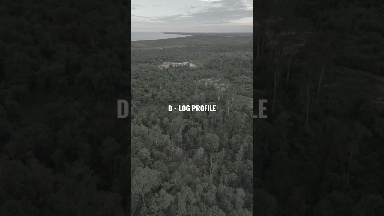 Dji mini3 pro most powerfull drone - Dcinelike color