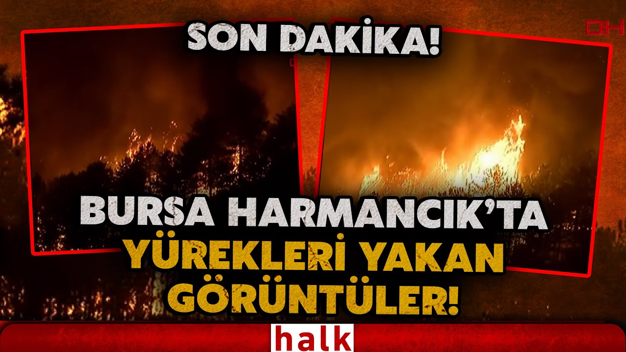 SICAK GÖRÜNTÜLER! HARMANCIK ATEŞ ÇEMBERİNDE! Bursa'daki yangın gittikçe büyüyor, müdahale sürüyor!