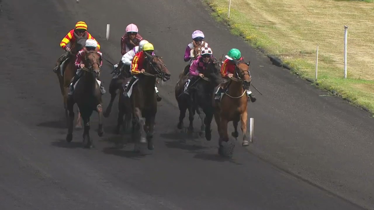 PRIX D'ESSAI - ETRIER 3 ANS FINALE 2025
