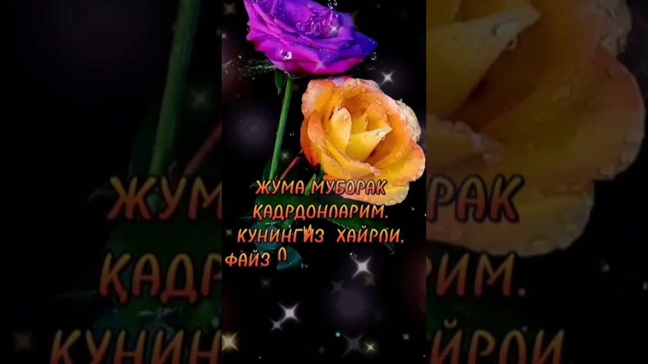 ЖУМА МУБОРАК/JUMA MUBORAK SHORTS BETA