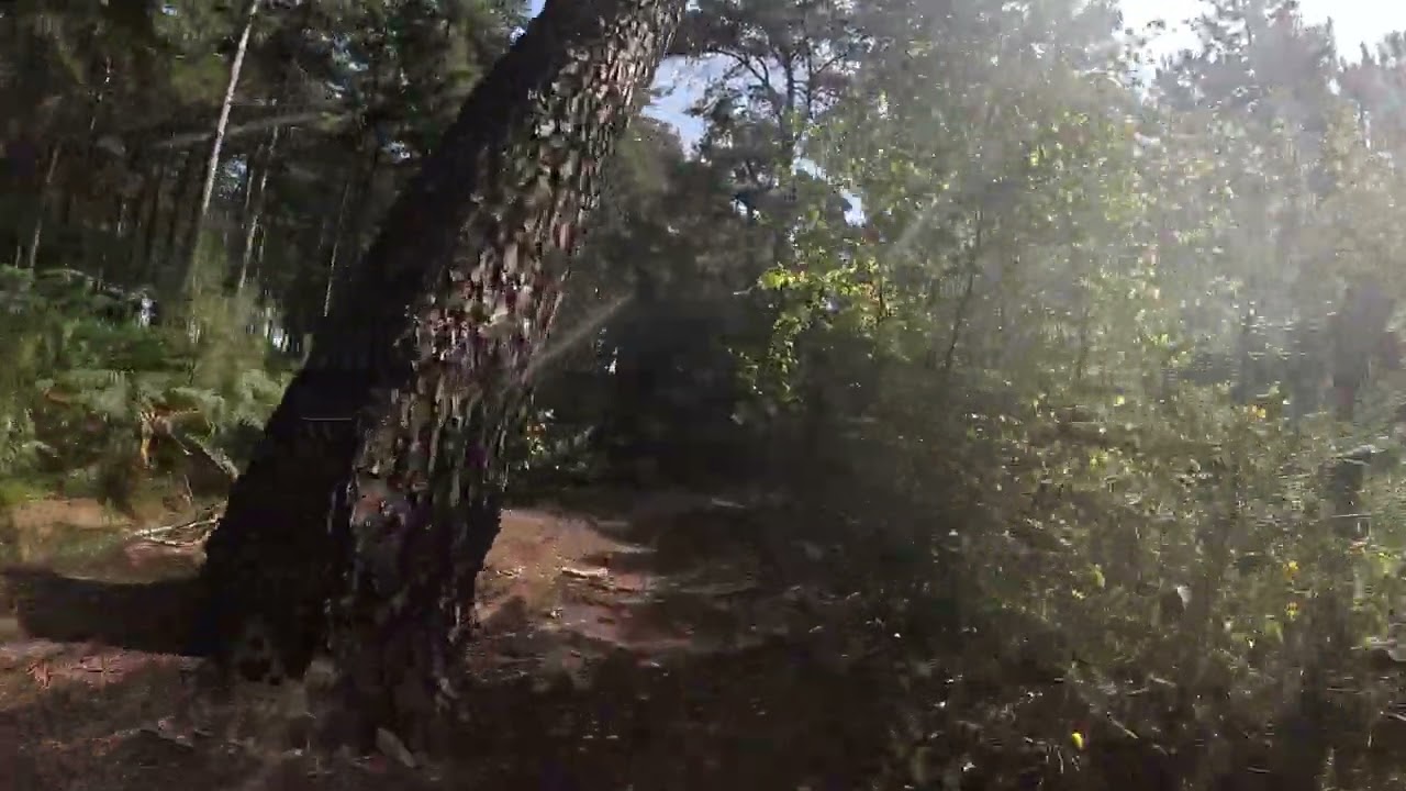 A lap of the Viking Trail, Tunstall, Suffolk, Pt  2
