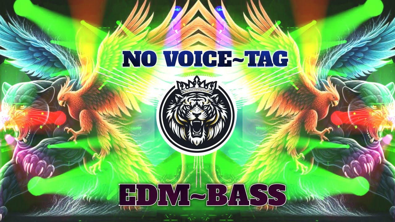 funny competition song dj edm mix