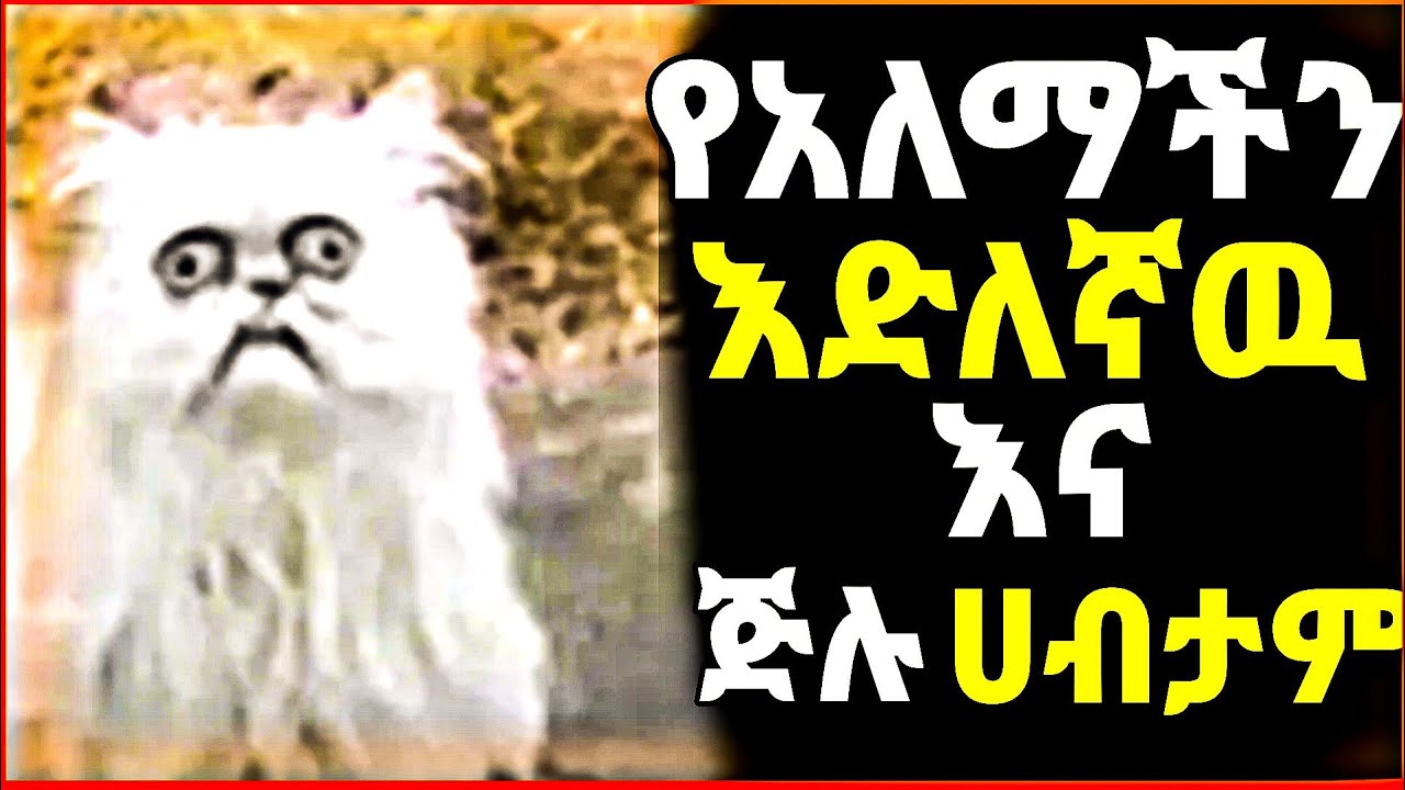 ብታምኑም ባታምኑም ይሄ ሰዉዬ በጅልነቱ ምክንያት ሀብታም ሆኗል | he became rich because he was dumb