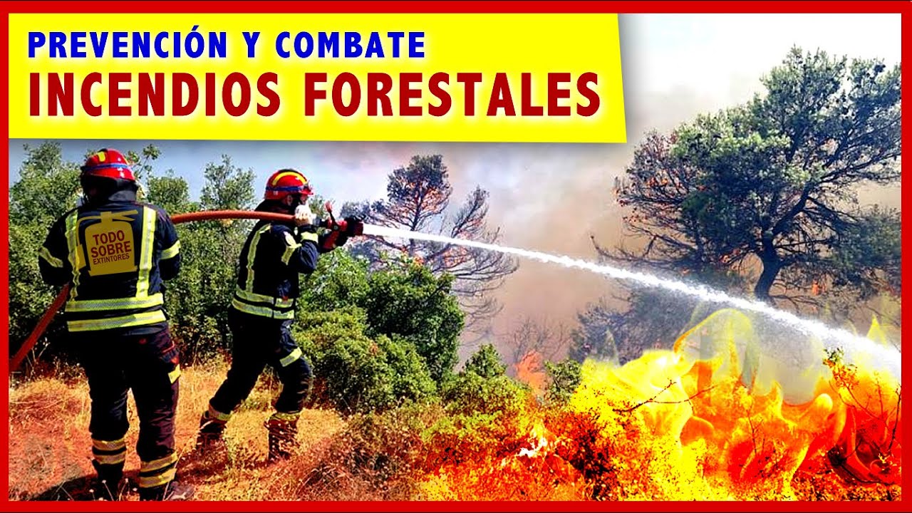 Prevención y combate de INCENDIOS FORESTALES 🔥 #incendiosforestales #bomberos #incendio