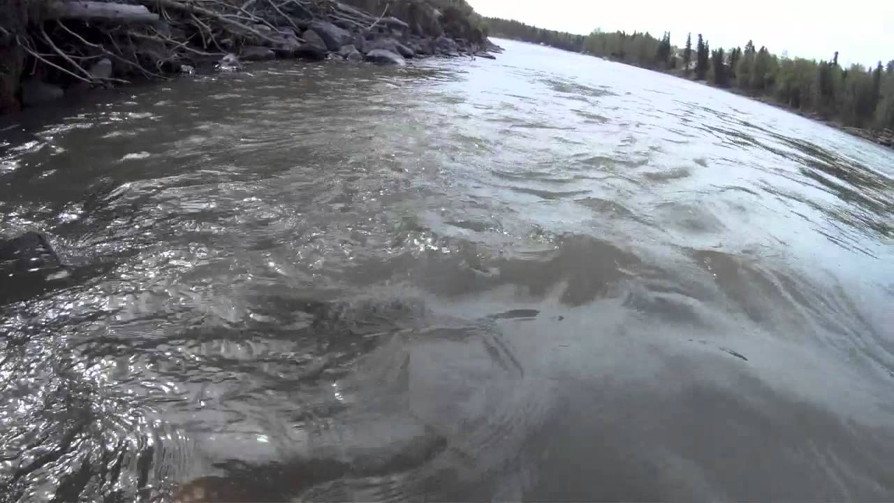 AOJ's Friday Fishing Report 5/31/13