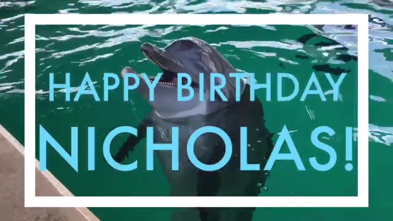 Nicholas the Dolphin's Splashy 16th Birthday