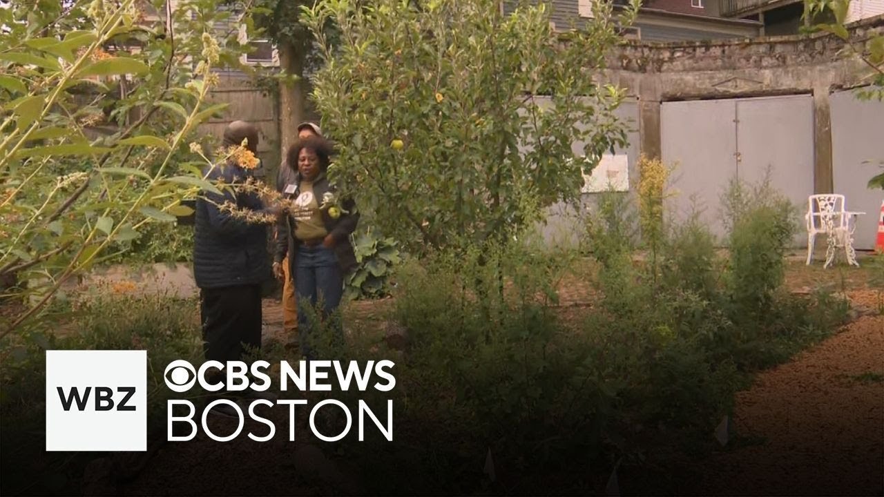 Neighbors join forces to create 