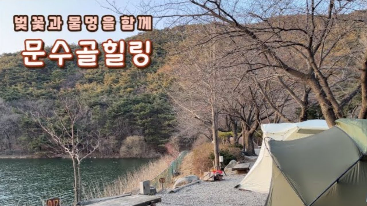 봄바람 살랑이는 벚꽃나무 아래에서 캠핑하기 딱 좋은 날❗하필 강풍주위보가🐶애견동반캠핑ㅣ김포 문수골힐링
