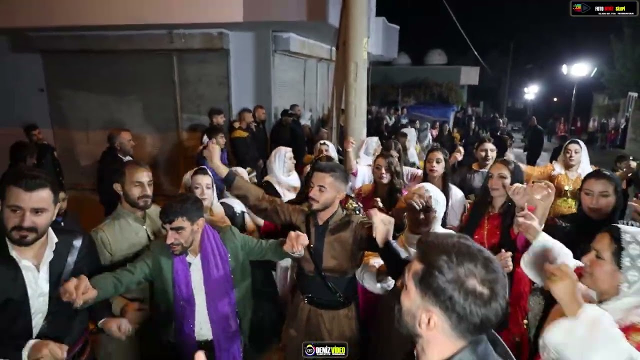 Ali Şen Düğünü Part 1 Şen Ailesinin Görkemli Düğünü  Müzik-Musa Silopi