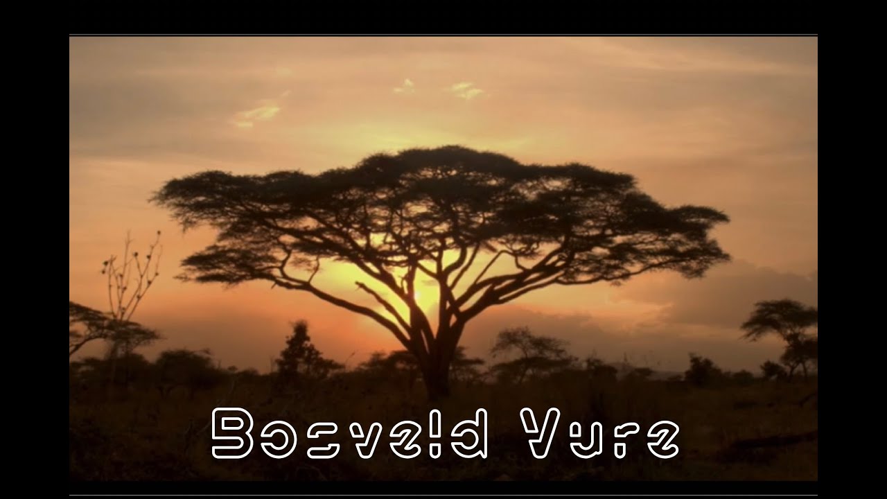 Broers ft.  Sunette Bridges & Werner Beukes - Bosveld Vure