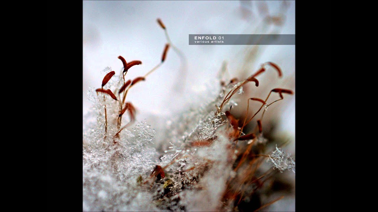 I Awake - Winter Shell [ENFOLD 01]