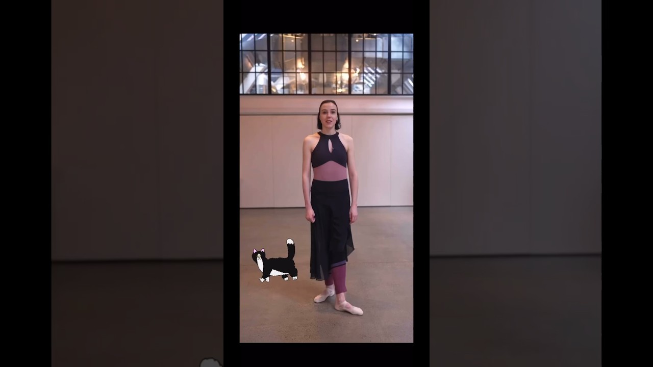 PAS DE CHAT ✨ STEP OF THE CAT - NICE AND LIGHT!  