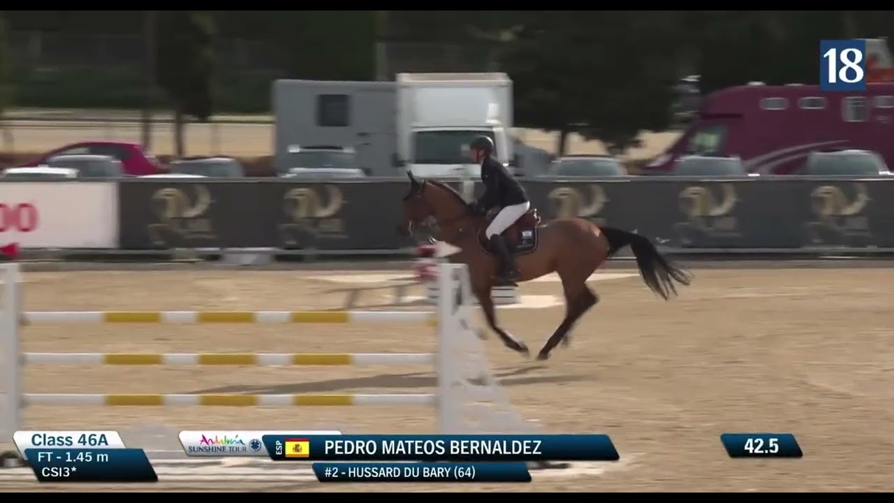 HUSSARD DU BARY (Bassano / Lux Z) 2017 Gelding - CSI*** Sunshine Tour - 145 class - January 2026