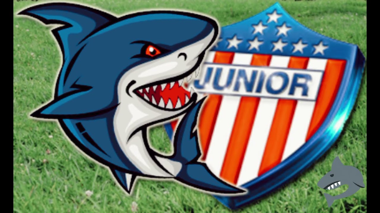 El Equipo Tiburón 🦈 