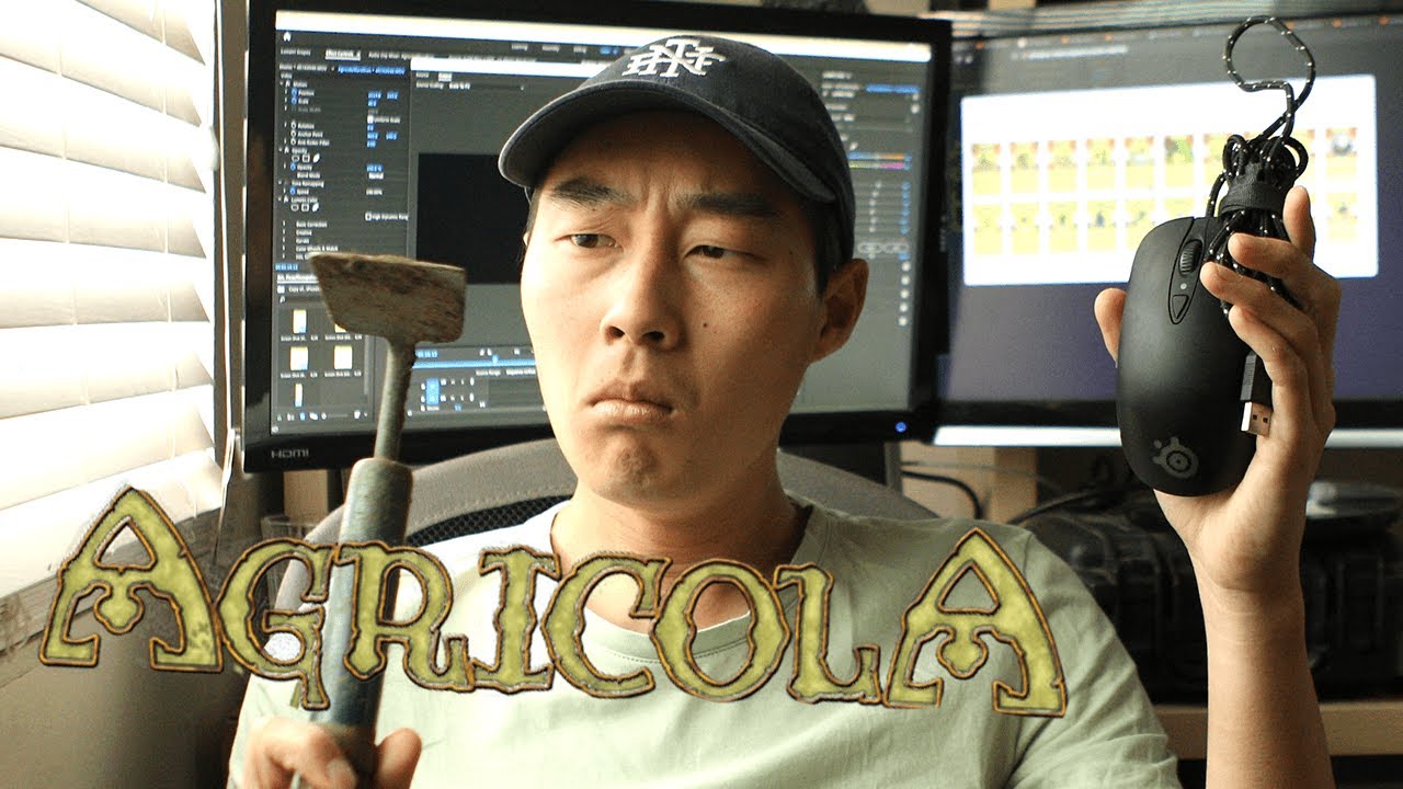 after playing Agricola for 30 days straight...
